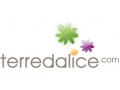 Détails : Terre d'Alice