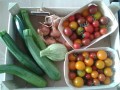 Détails : Les Potagers de Cérès