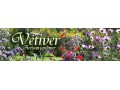 Détails : Vétiver