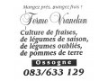 Détails : Ferme Vrancken - Fruits et légumes de saison