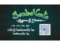Détails : Barbe Verte