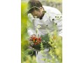 Détails : Cuisine-Potager