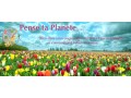 Détails : Pense ta Planète